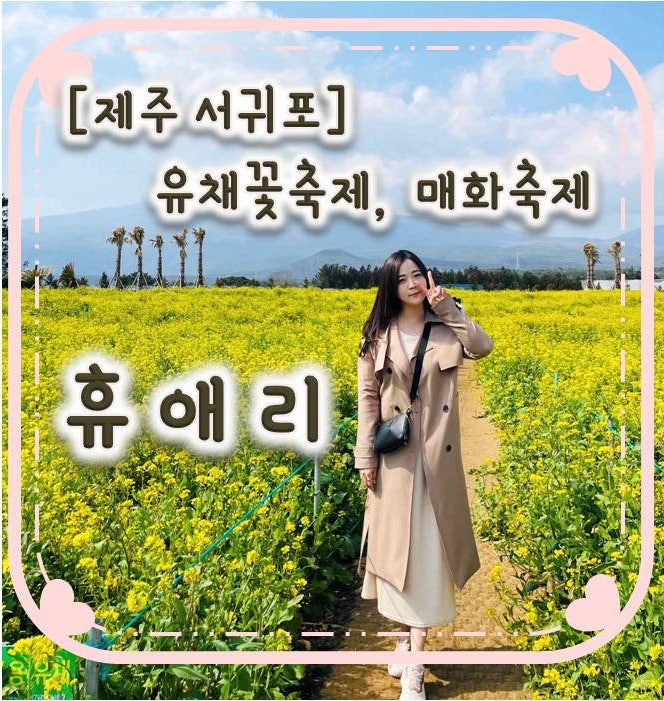 휴애리 유채꽃축제 매화축제 사진찍기 좋은 스팟 휴애리 유채꽃축제 매화축제 사진찍기 좋은 스팟