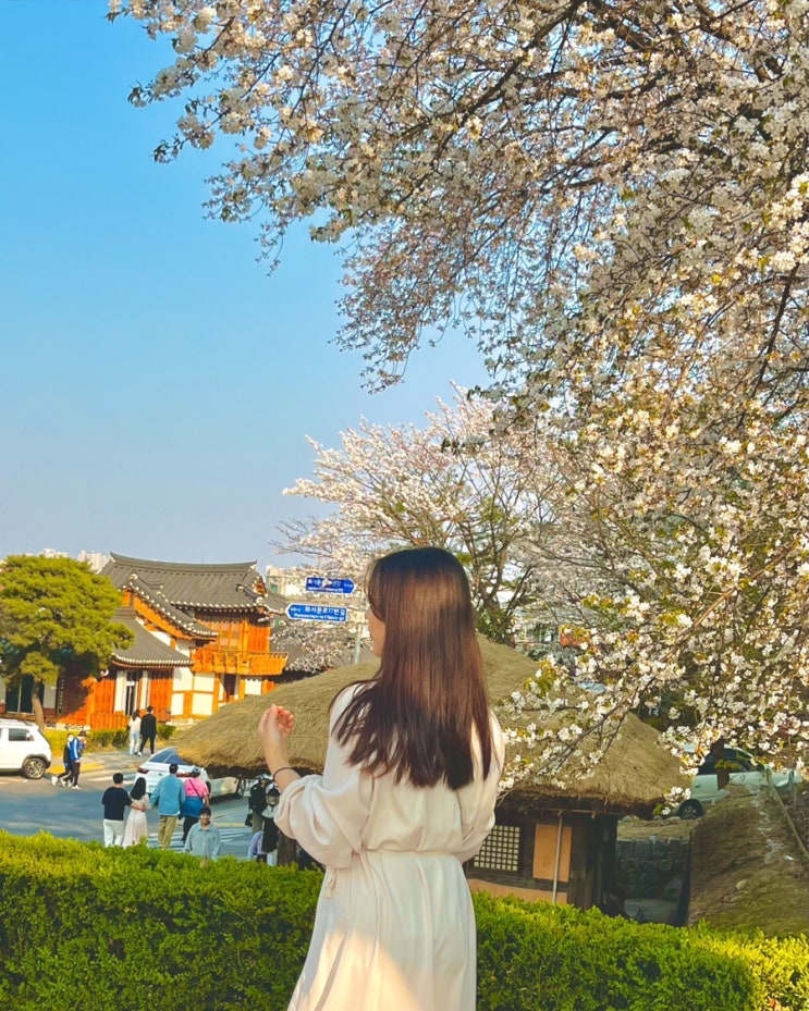 [수원] 인천-행궁동 당일치기 벚꽃구경 루틴 후기