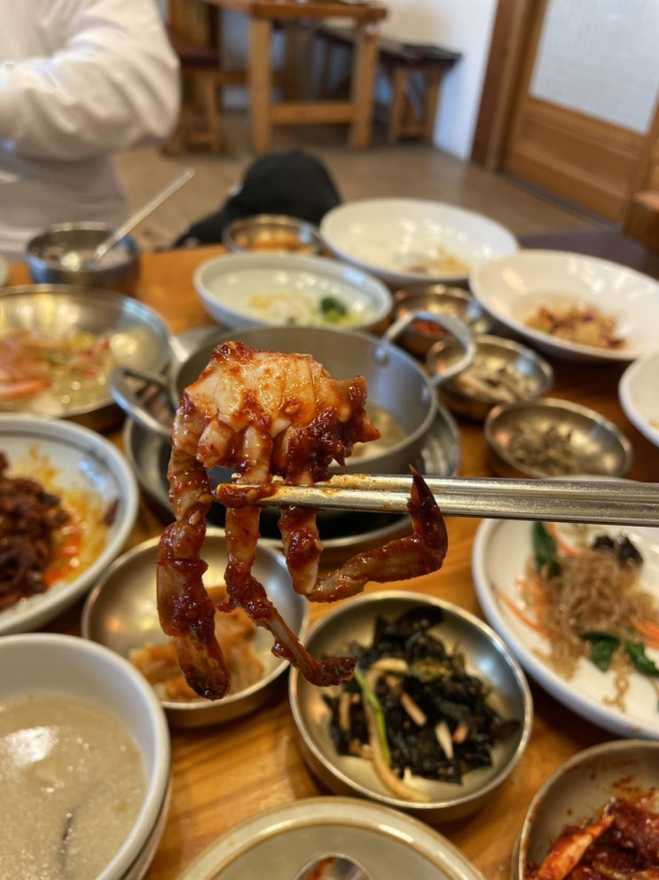  배보리 근황 & 나만 알고싶은 맛집 21탄 - 거창 정미소카페 쿠쿠오나,기장 맛집 풍원장, 부산대 카페붓