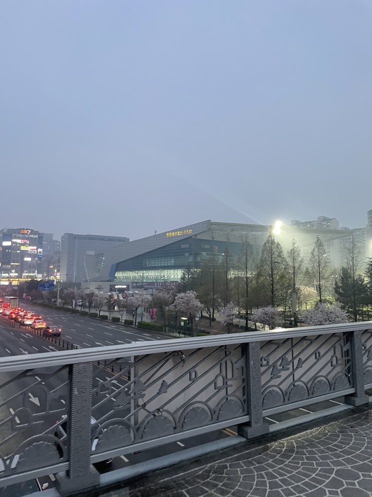 23.04.06 여자배구 <b>챔피언</b> 결정전(<b>흥국생명</b> vs한국도로공사)... 
