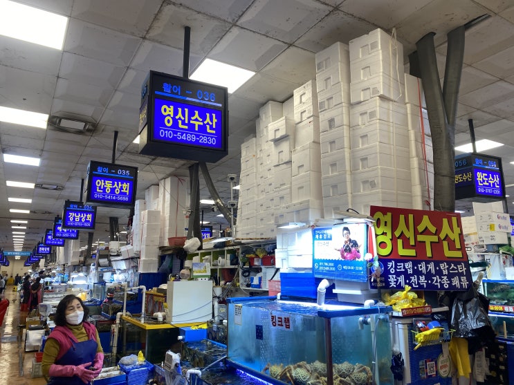  노량진 속 꽉찬  대게 킹크랩 영신수산 (바다회센타)