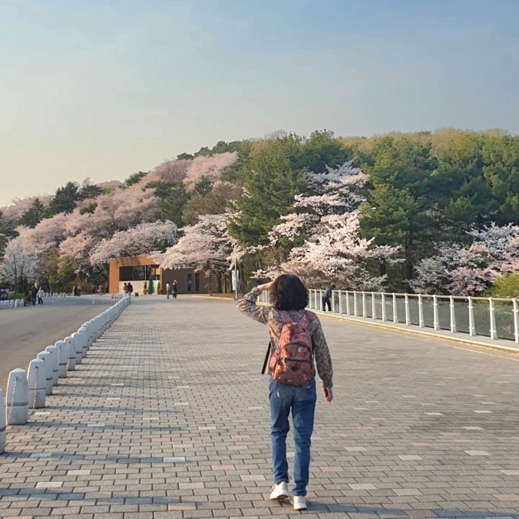  자본주의 사회, 사회주의 사회, 경쟁 사회. 신자유주의, 시장경제 - 백종원