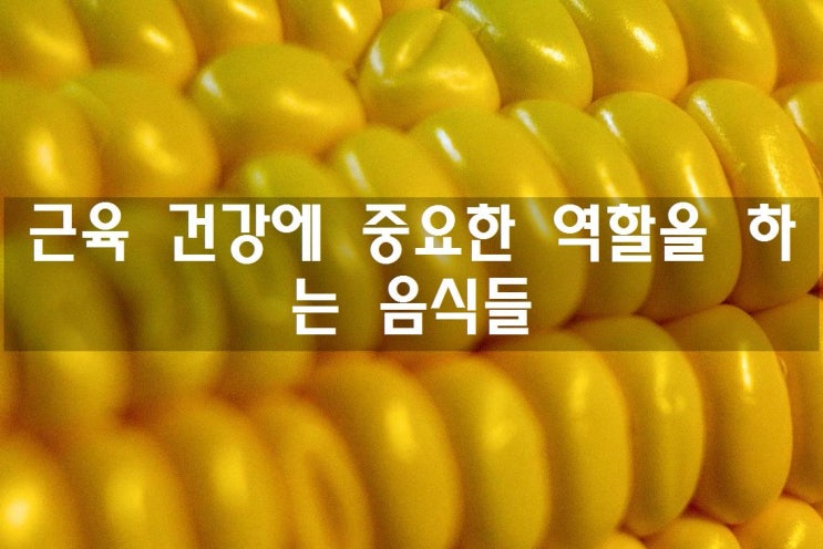  근육 건강에 중요한 역할을 하는 음식들