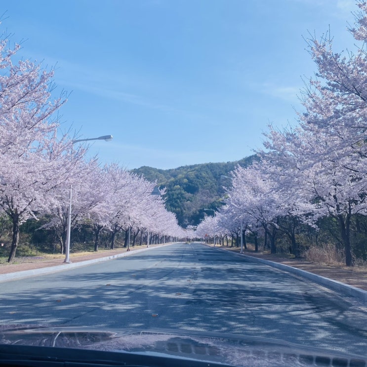  벼랑 끝