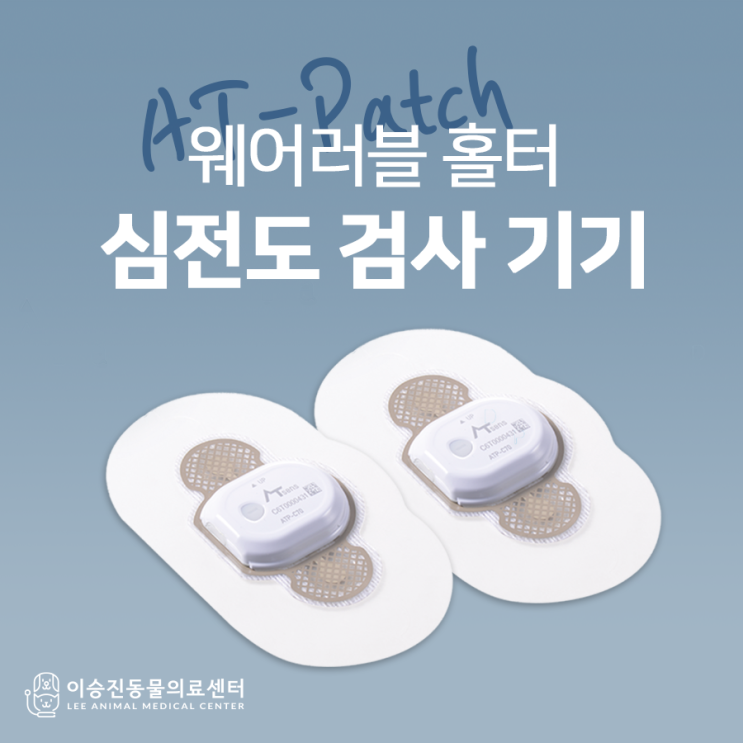  NEW 웨어러블 홀터 심전도 검사 기기 AT-PATCH 도입!! [울산 동물병원 이승진동물의료센터]
