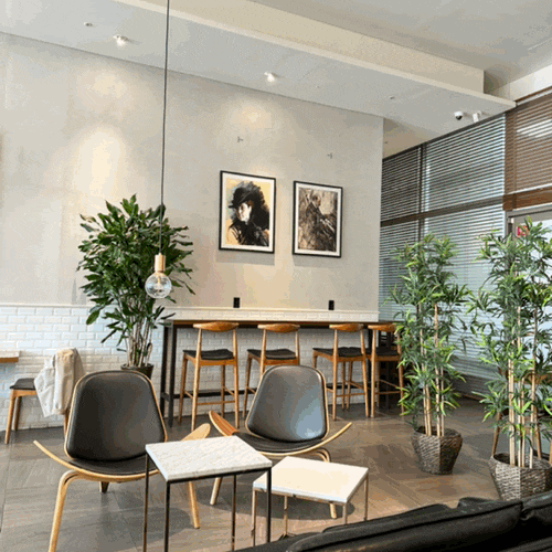  수서역 근처 브런치카페 <cafe 595> 카페 595