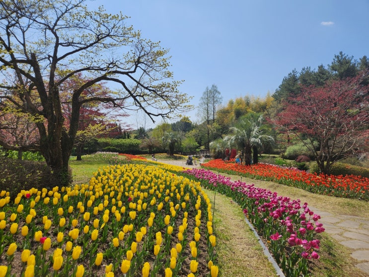  [제주] 상효원수목원 사계절 제주 꽃 구경 산책로