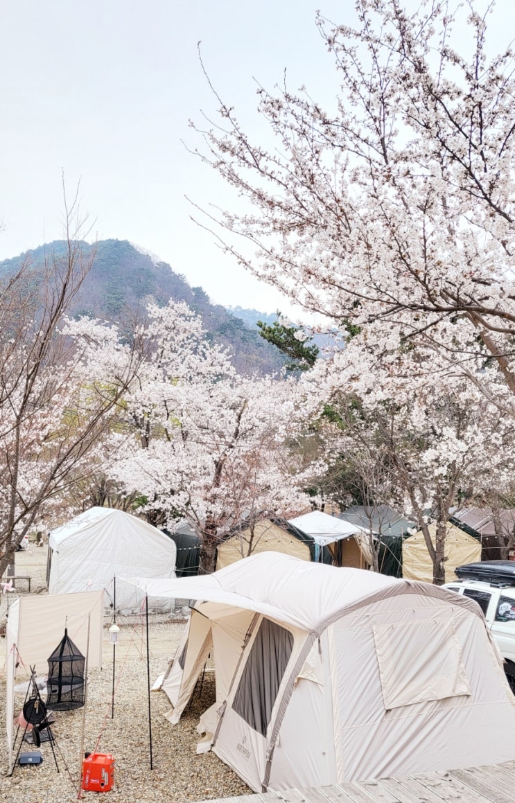  <인제>구만동펜션오토캠핑장