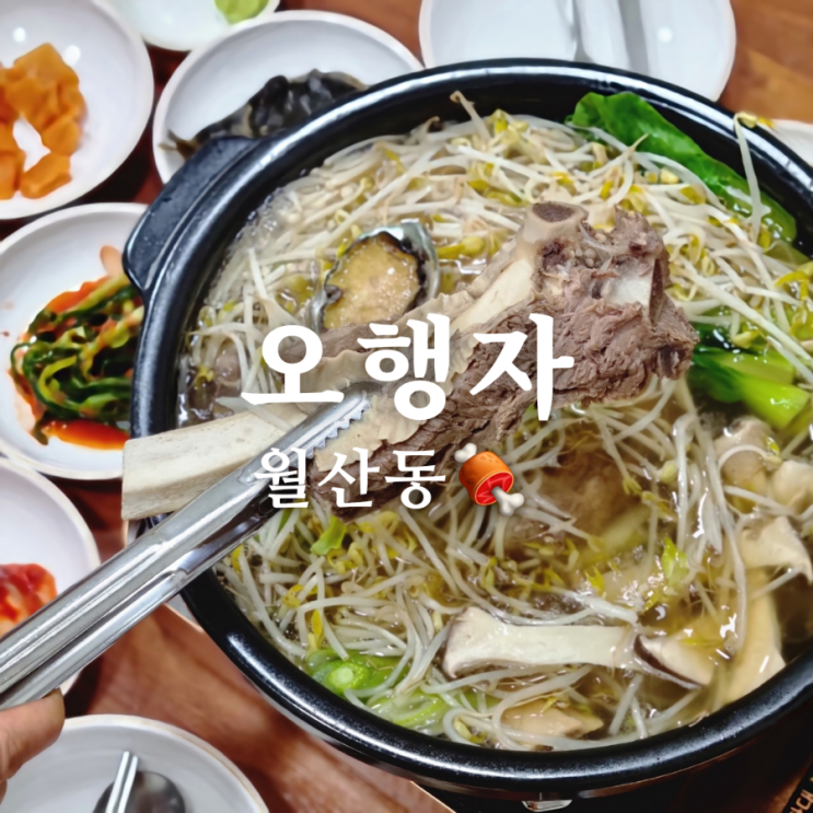  광주 월산동 맛집 왕갈비탕 오행자