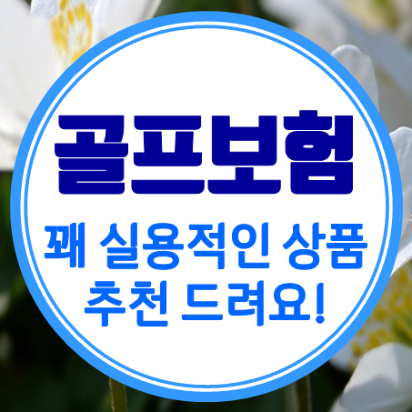  홀인원보험비교 대단하진 않아도 꽤 실용적인 홀인원보험추천 드려요!