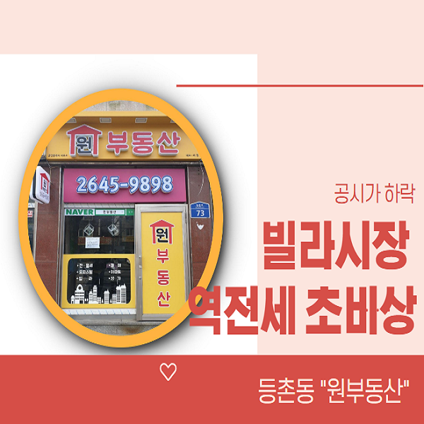 공시가 하락 우려되는 빌라시장 역전세 초비상