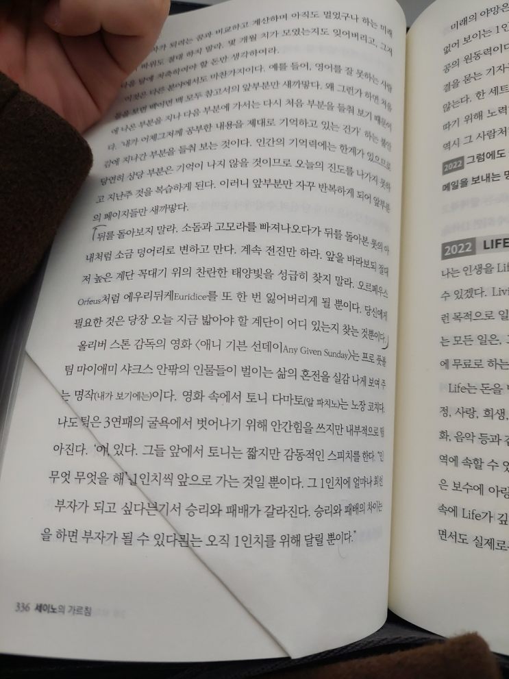  아주 작은 단계들이 모여야, 꿈을 이룰 수 있는 것이다. - 세이노의 가르침