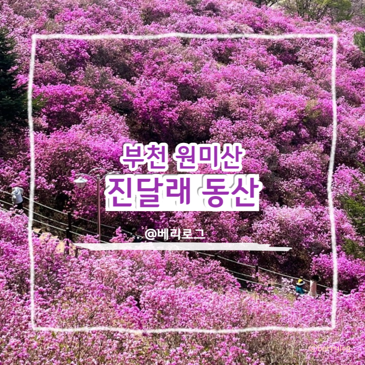  부천 진달래 동산 포토존, 서울 근교 봄나들이 피크닉 추천