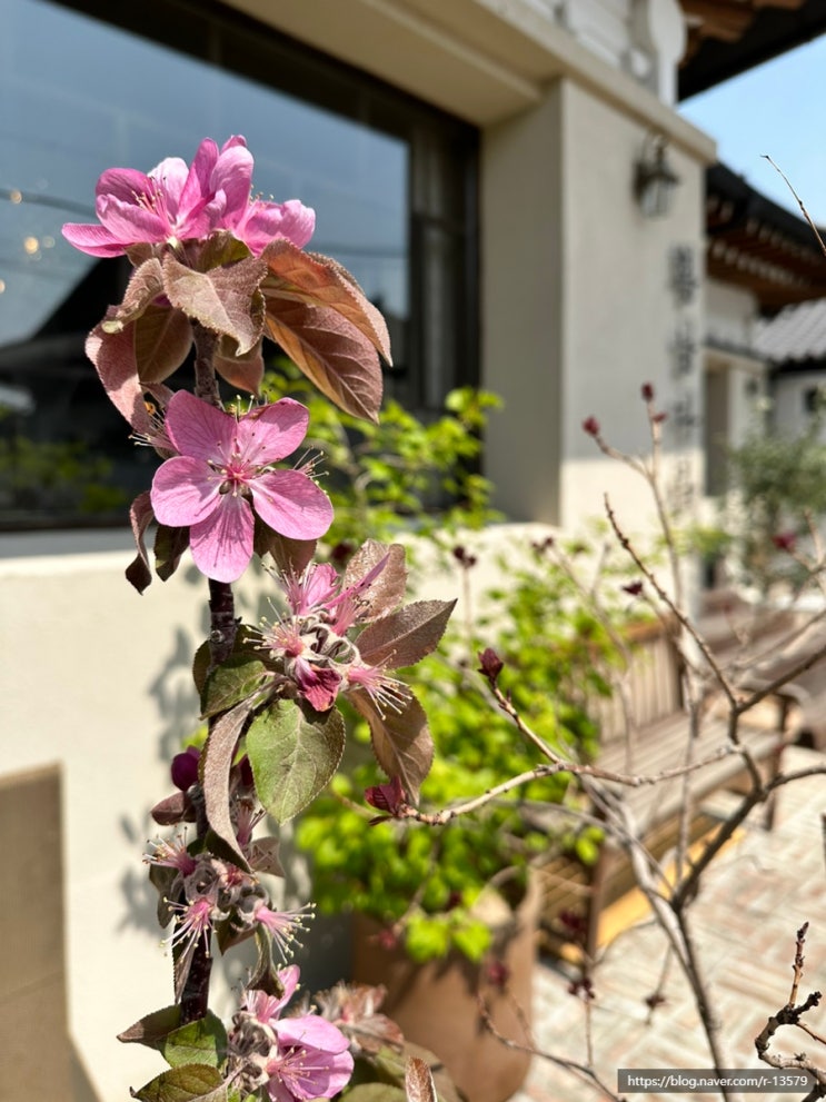  경주 여행지 필수코스 황리단길 둘러보기, 주차