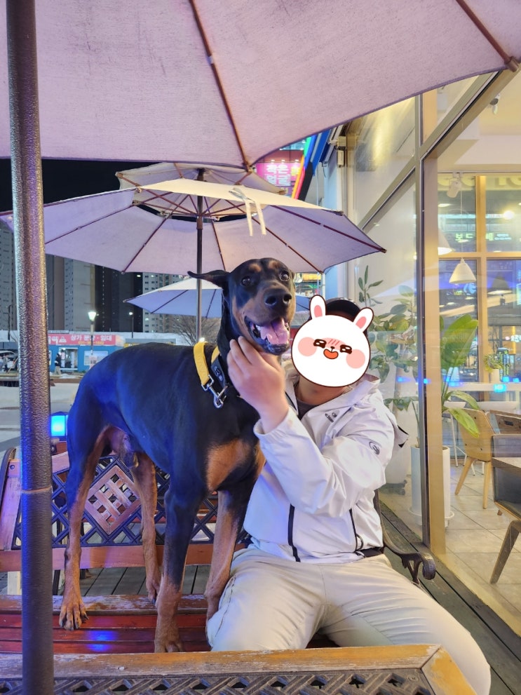  간만에 시내바리 나온 레오