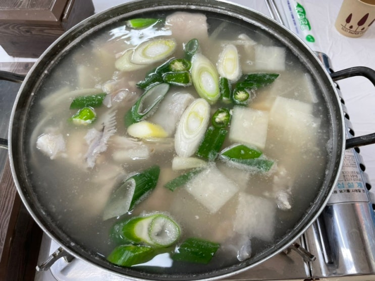  가족들과 함께한 속초여행에서 가본 맛집 내돈내산 솔직후기 (feat. 속초 곰치국, 이모네 식당)
