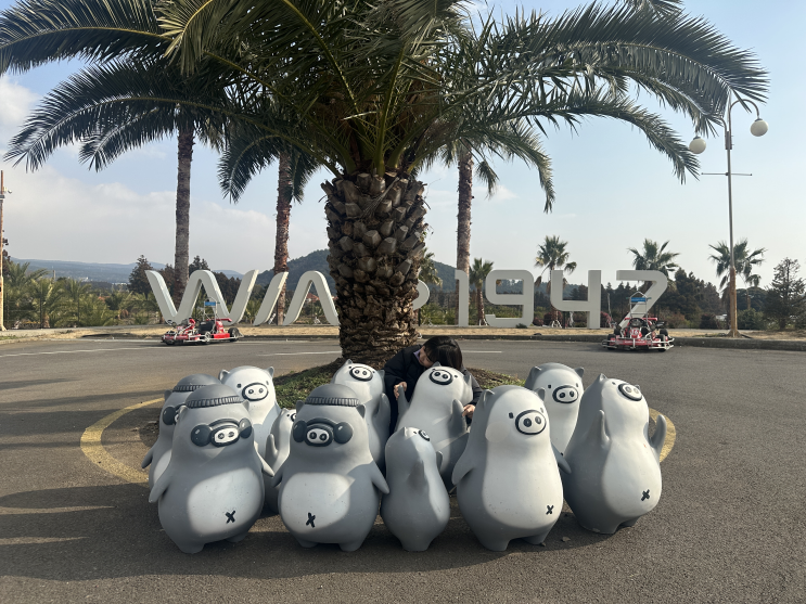  [제주도 겨울여행] 1월 제주도 3박 4일 가족여행 일정공유 / 4일차 / 표선세화해녀의 집 / 윈드 1947 테마파크 / 카멜리아힐 / 아쿠아플라넷 제주 _ 유미의 세포들 특별전