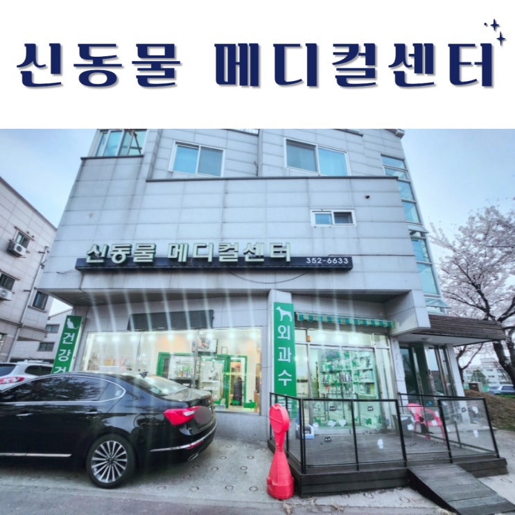  향남동물병원 신동물 메디컬센터, 광견병주사 지정병원 내돈내산 찐후기 (대형견 가능)
