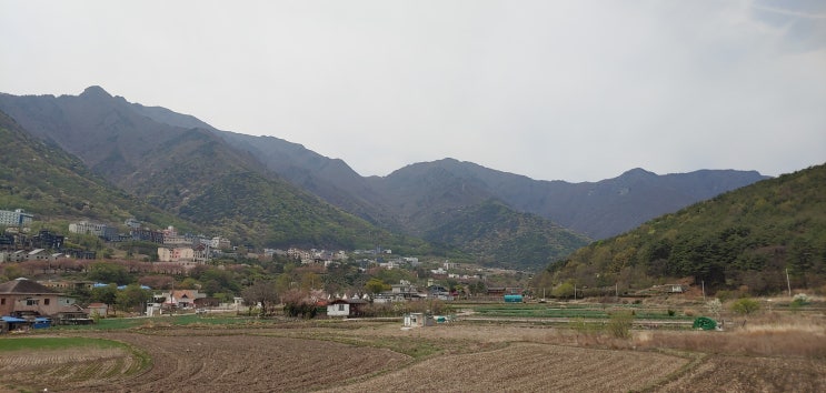  카페 농도