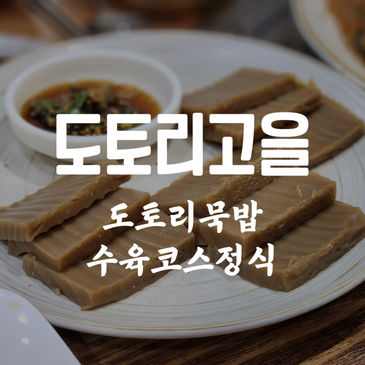  도토리묵밥 국물 진한 수육코스 도토리고을 청주 터미널 인근 맛집