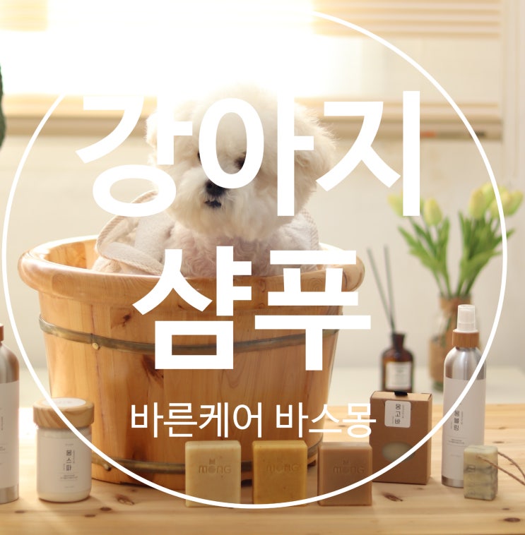  사람 샴푸, 강아지도  사용해도 괜찮을까요?