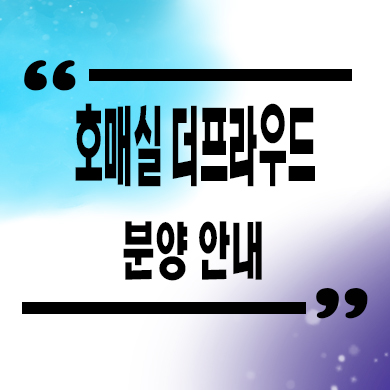  호매실 더프라우드 오피스텔 호매실동 주거용 오피스텔 유니트 구조 및 견본주택 관람
