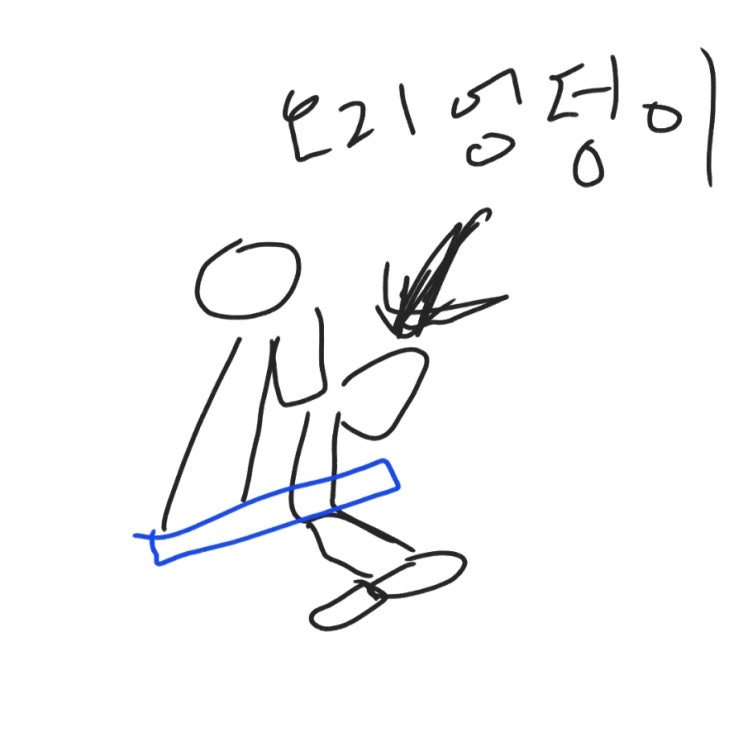  기구 필라테스  솔직후기ㅎㅎ 자세와 루틴과 감정!2