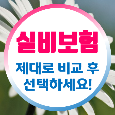  아이실비보험 추천 설마 이렇게 자녀실손보험 비교하고 결정을 내린 건 아니시죠?