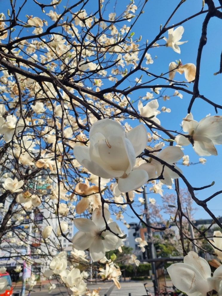  해외 부동산 거래시 주의사항