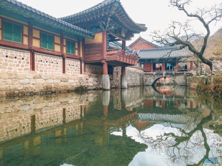  순천 송광사 - 영화 헤어질 결심 박해일 탕웨이의 데이트 촬영지