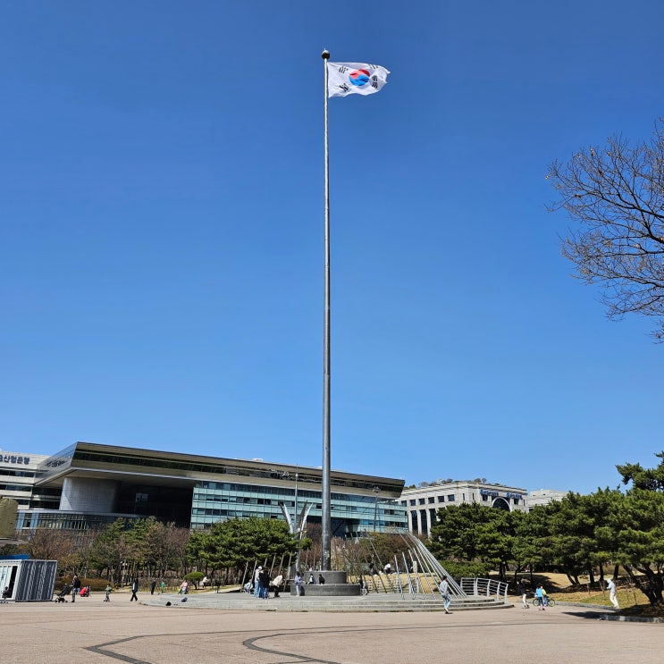  서울 가볼만한곳 여의도공원 봄나들이 여행 산책