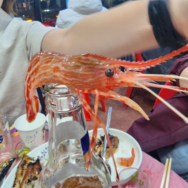 속초 영랑호포차거리 여긴 정말 찐이다.. 술맛나는 하루~