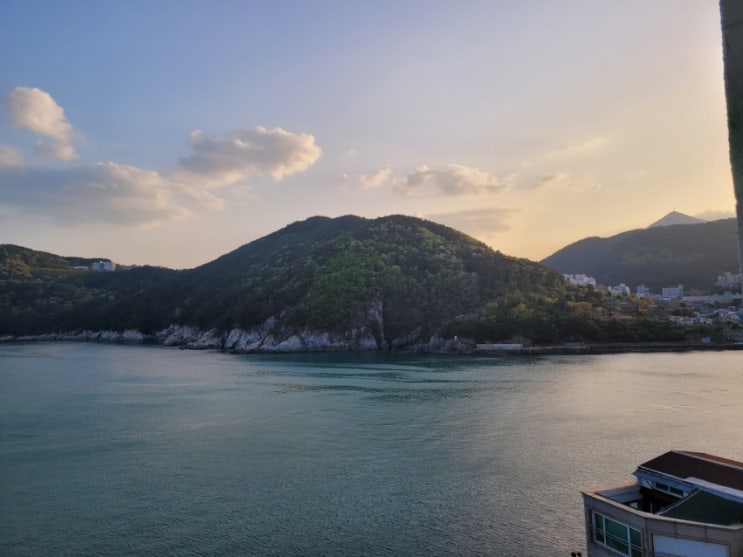 <b>하와이</b> 기독<b>동포</b> 독립정신 새겨진 서울교회… 사라질 위기