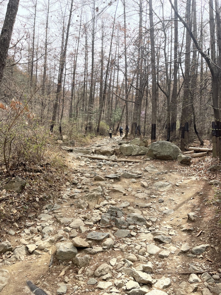  하남검단산 등산️ (주차 팁, 최단등산 코스)