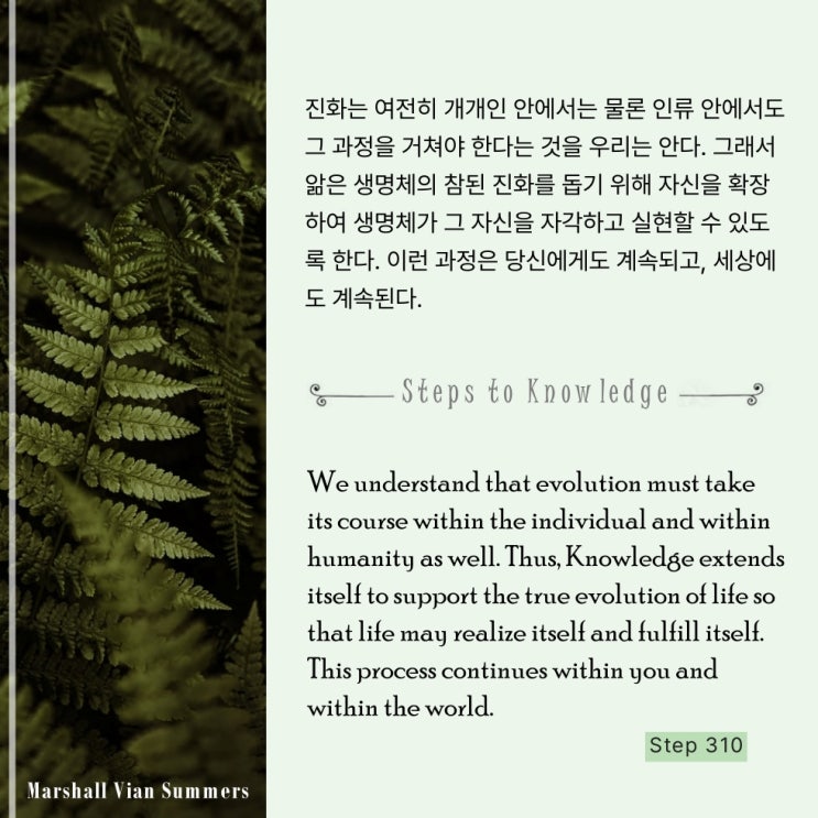 제 310 계단 : 나는 베풀기를 원하므로 자유롭다 I am free because I desire to give. 제 310 계단 : 나는 베풀기를 원하므로 자유롭다 I am free because I desire to give.