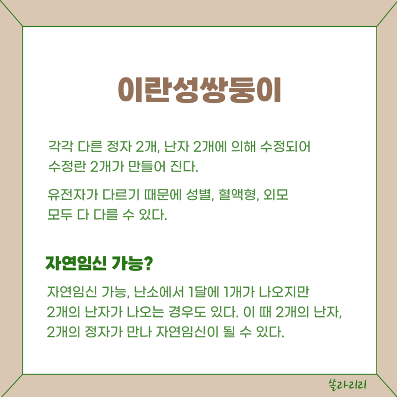 일란성쌍둥이 이란성쌍둥이 차이점 융모막 양막 비교 : 네이버 블로그