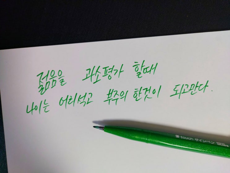  젊음을 과소평가할 때 나이는 어리석고 부주의한 것이 되고만다.