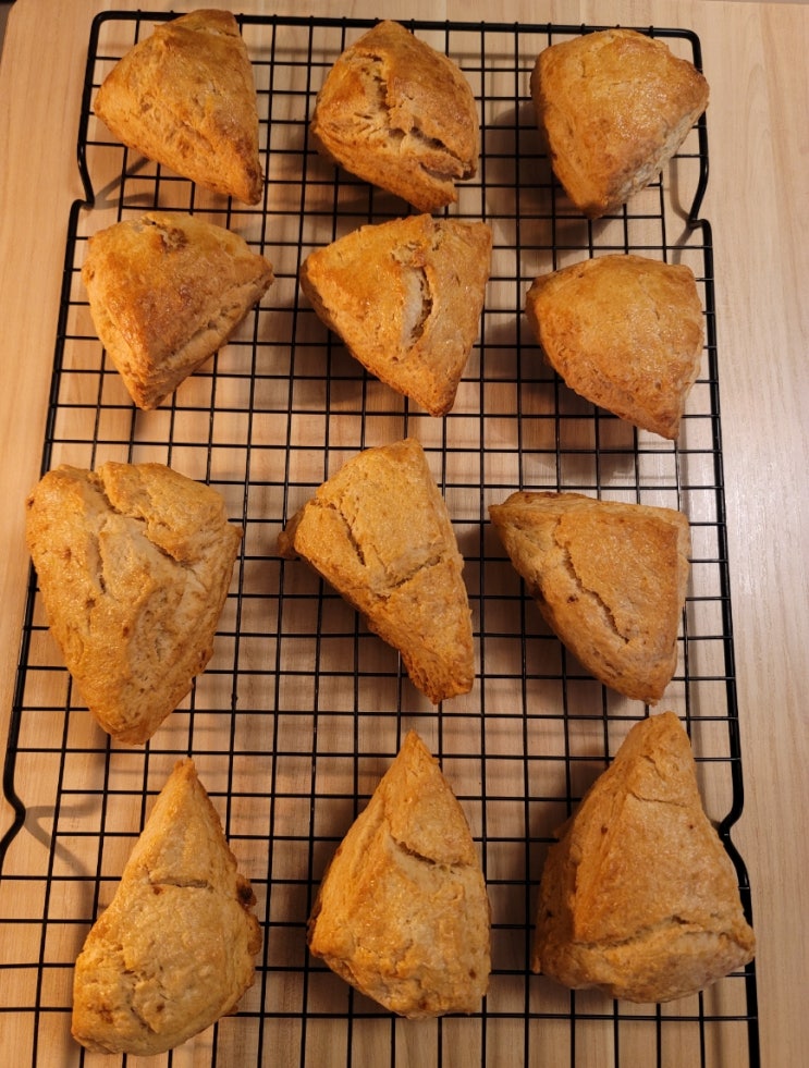  푸드프로세서로 빠르고 간편하게 스타벅스St.클래식 스콘 생크림스콘 만들기(ft. 호야님 레시피)