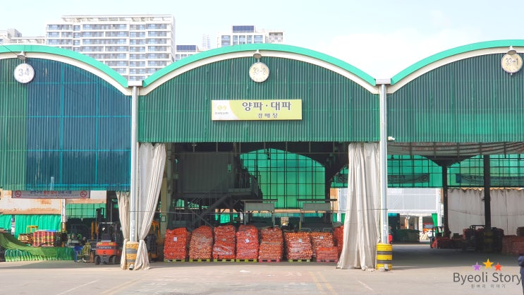  가락시장 나들이! 경매장+농수산물