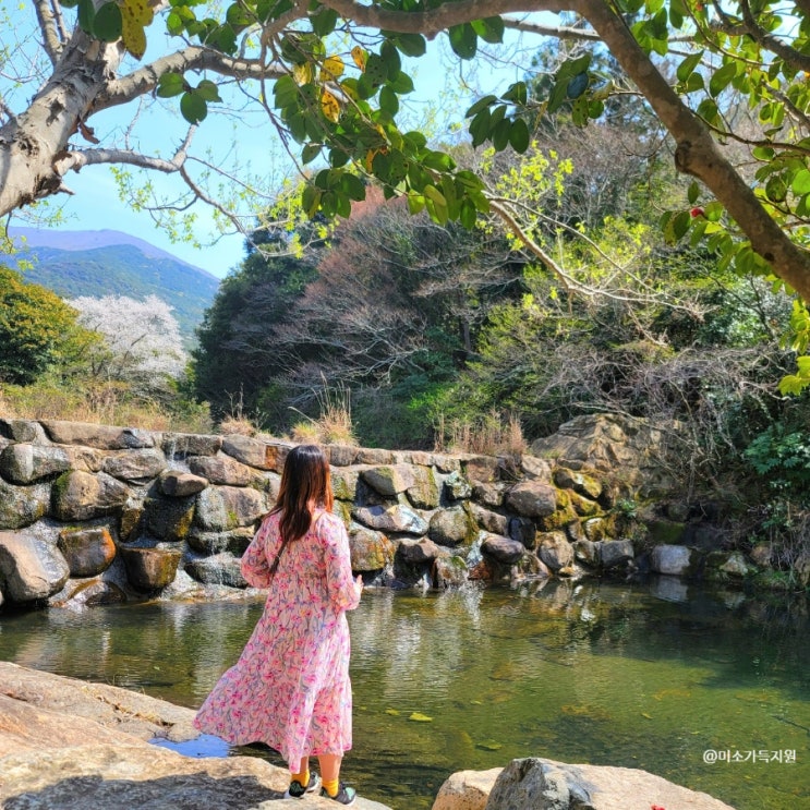 전남 완도 여행 가볼만한곳 1박 2일 코스 해양 치유 체험 먹거리 숨은 명소 꿀팁