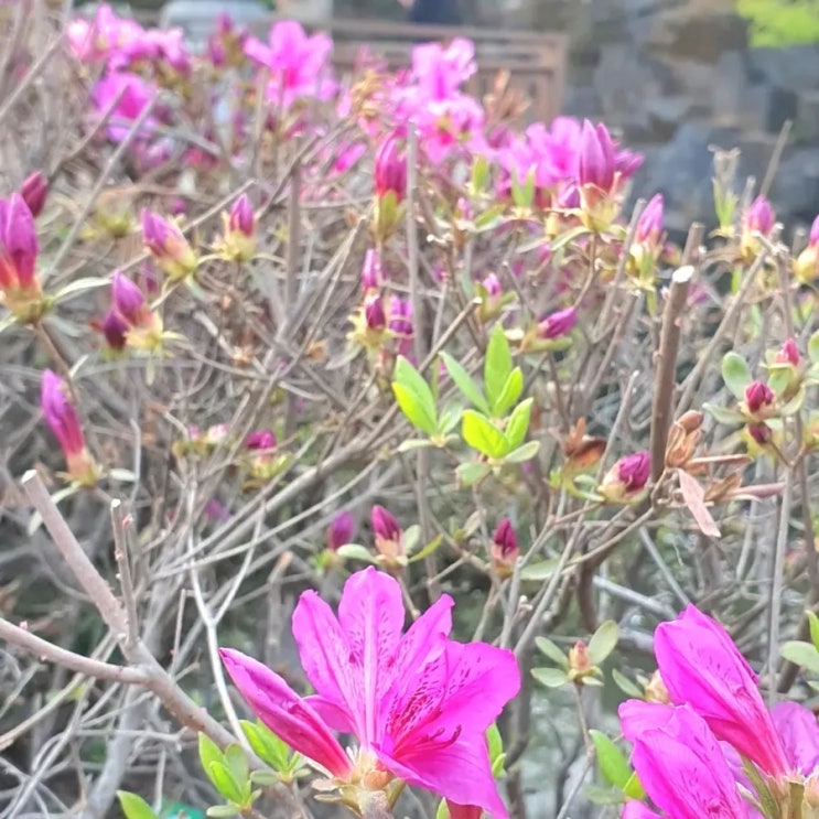  천지창조, 여섯째 날,  하나님의 형상 남자와 여자 창조, 땅을 다스리게 함, 예수님의 모양과 형상인 사람 창조, 예수님은 볼 수 없는 하나님의 본체의 형상, 사람은 피조물