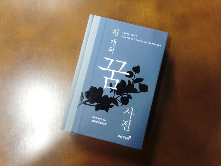  꿈해몽, 꿈해석이 궁금하다면? 코쿤아우트 "천 개의 꿈 사전"을 참고하세요!