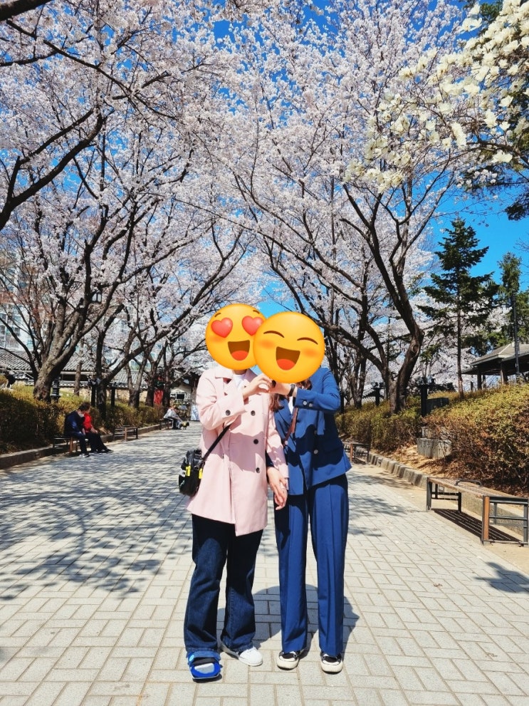 화사하게 핀 꽃과 놀이 공간이 함께 있는 넘 예쁜 작은 벚꽃 명소 화도진공원~ 화사하게 핀 꽃과 놀이 공간이 함께 있는 넘 예쁜 작은 벚꽃 명소 화도진공원~
