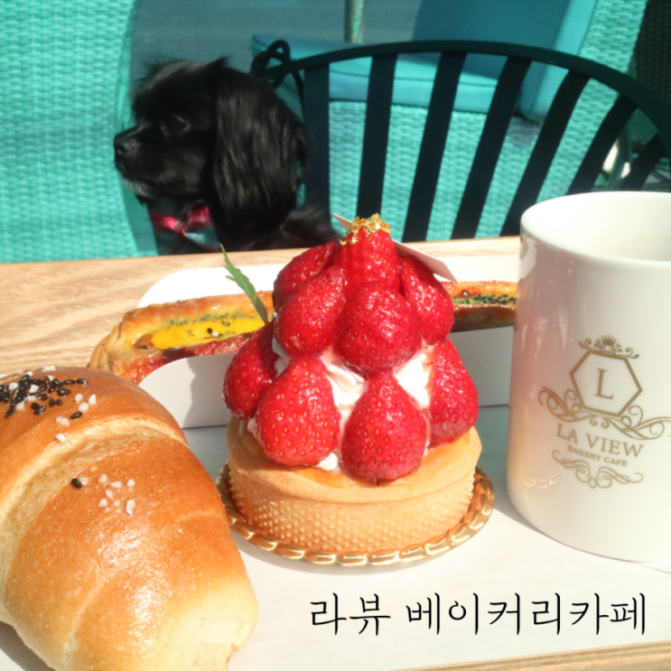 [양평카페] 남한강뷰 애견동반 라뷰베이커리