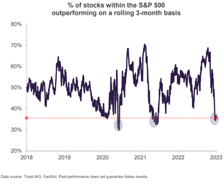 S&P 500 지수를 능가하는 종목 비율(%)