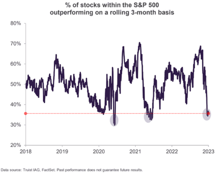  S&P 500 지수를 능가하는 종목 비율(%)