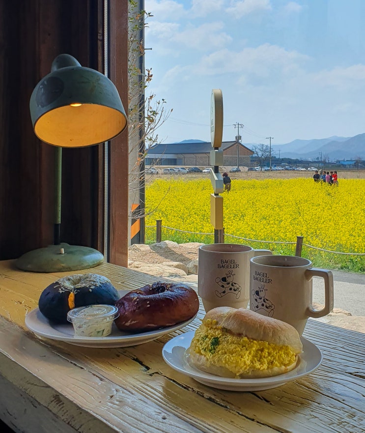  경주 황리단길 카페ㅣ4월에 꼭 가야 할 유채꽃 뷰맛집 '베이글 베이글러' 추천