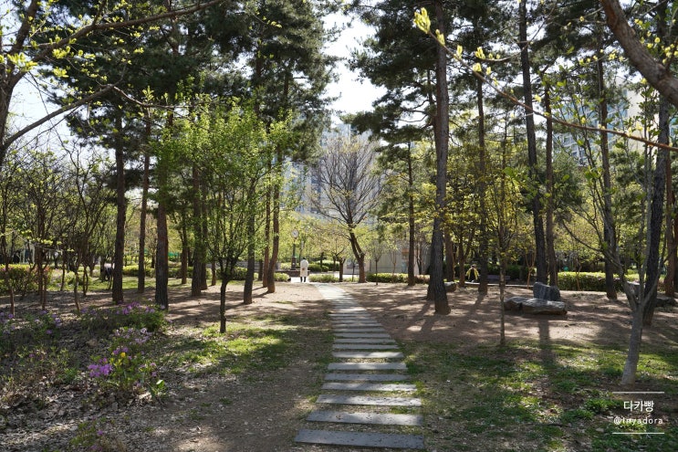 서울 유아동네숲터 장평근린공원 방문기