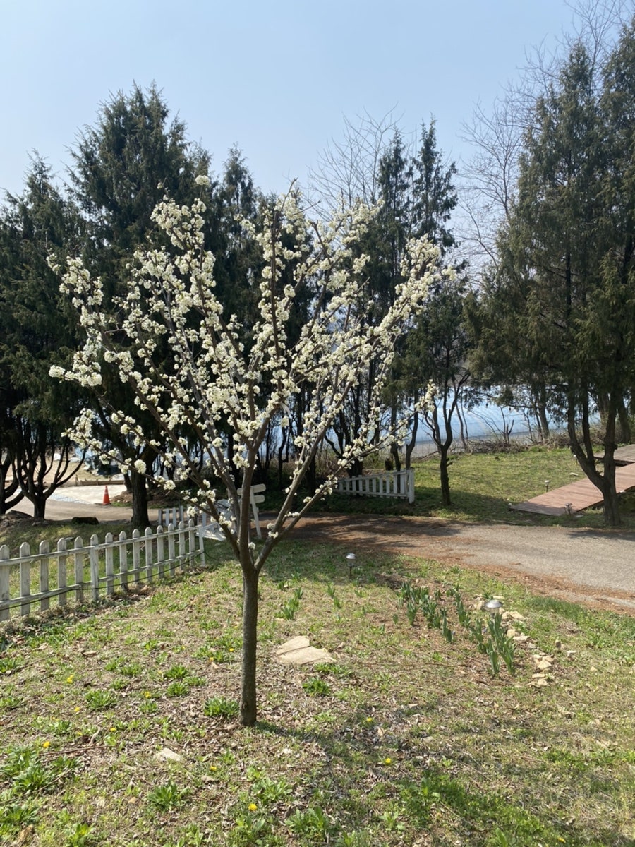 트리앤캠프스토리 사진 4