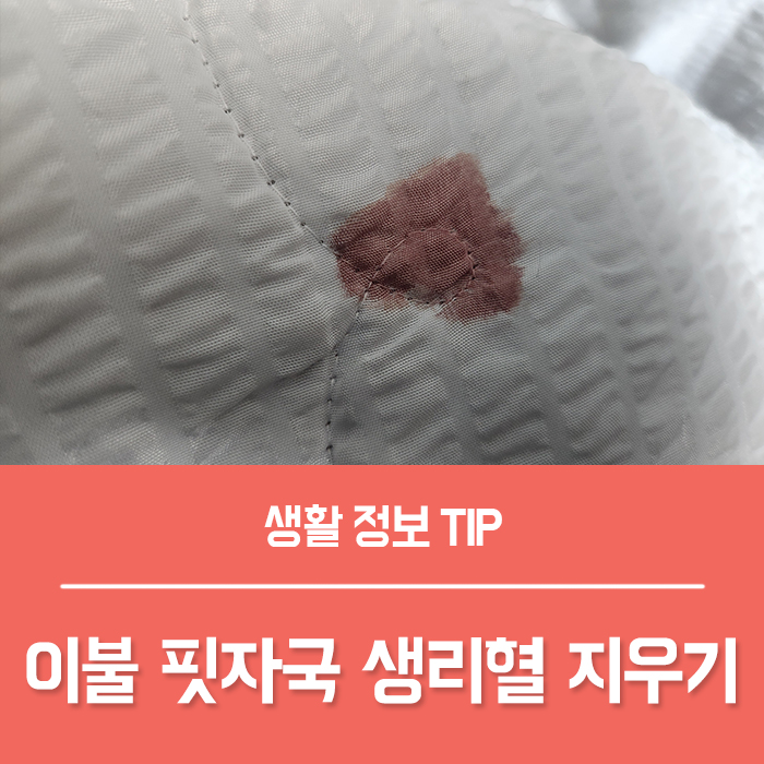  생리혈 지우기 이불 핏자국 피 얼룩 제거 BEST4